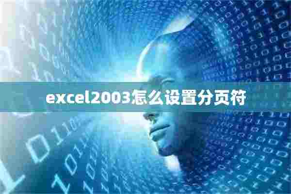 excel2003怎么设置分页符