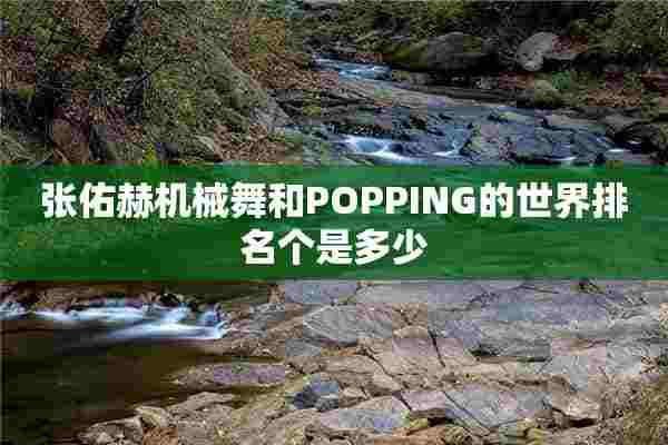 张佑赫机械舞和POPPING的世界排名个是多少